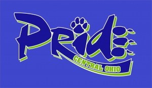 Central Ohio Pride Softball